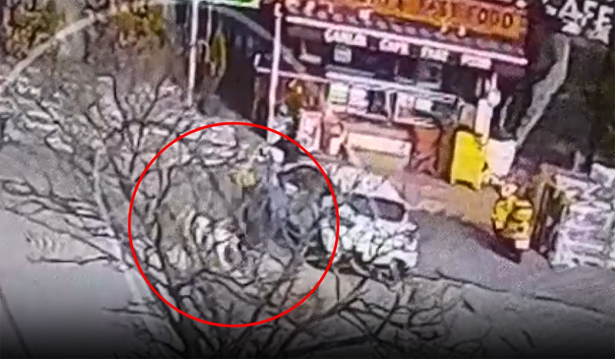 Pitbull saldırısı kamerada