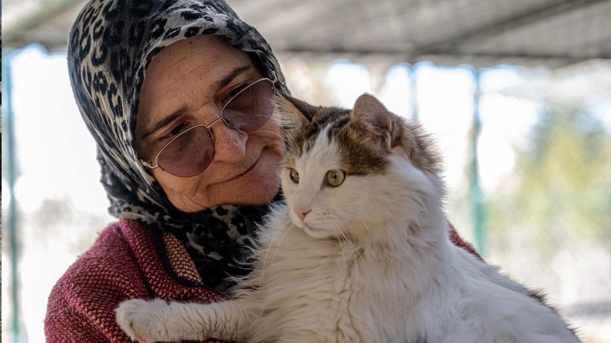 M�stakil evinin bir kat�n� sokak kedilerine yuva yapt�