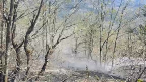 Artvin'de orman yangını: Alevler 2 hektarlık alanı kül etti