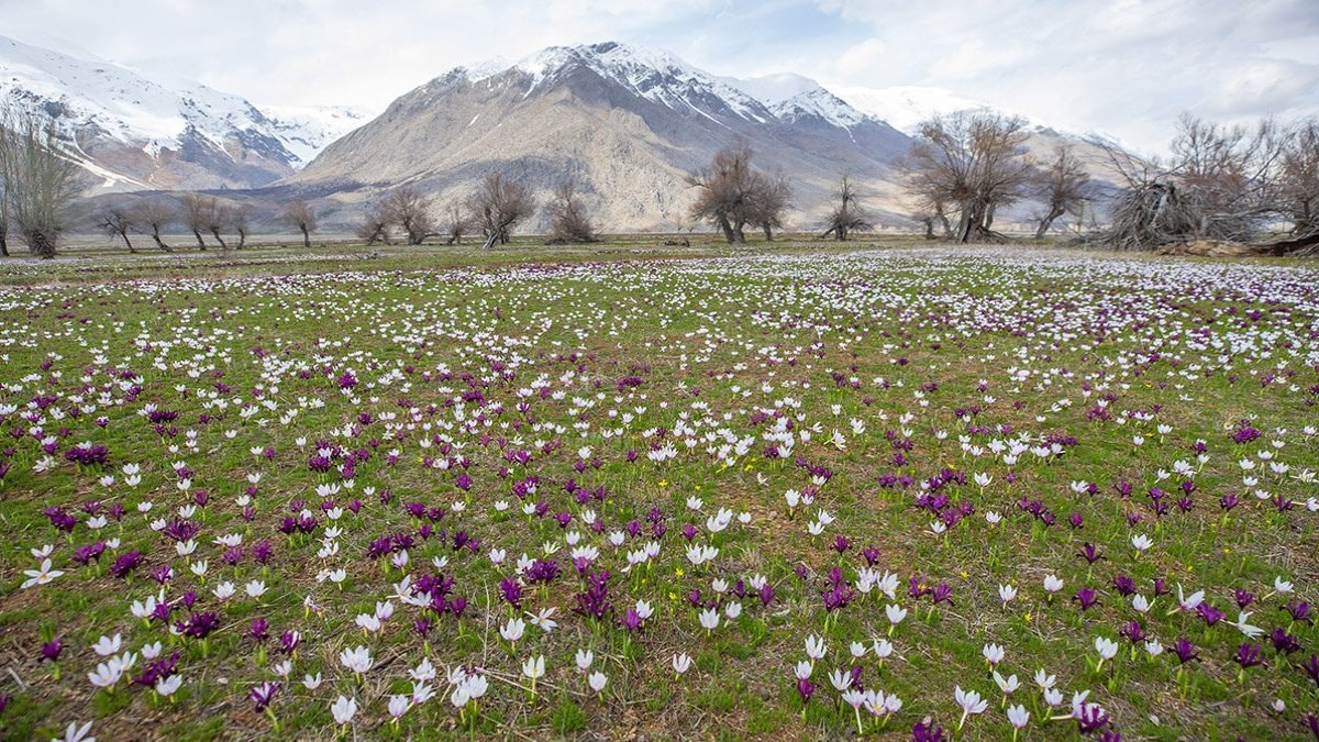 Rekorların ilkbaharı... İlk 46 günün 33'ünde sıcaklık zirvede