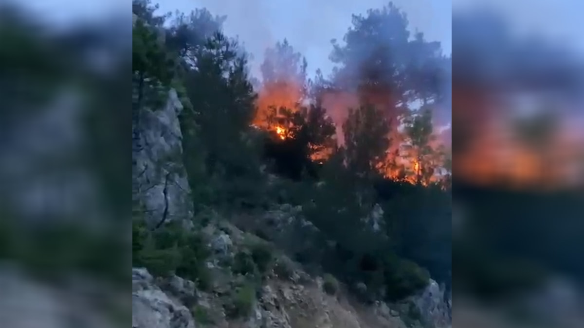 Osmaniye'de orman yangını çıktı