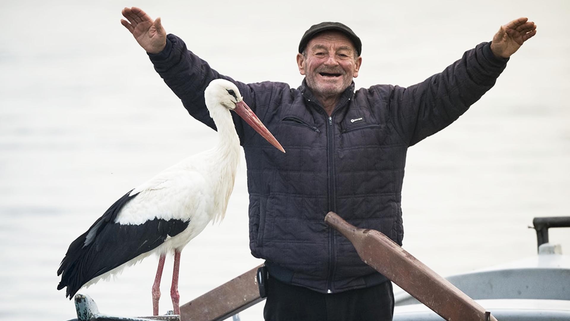 Adem amcadan Yaren leyleğe bayram hediyesi