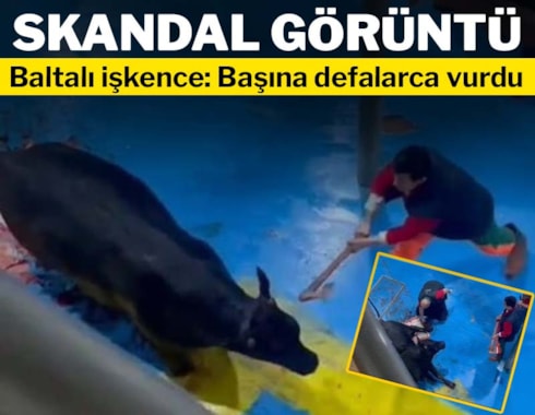 Amasya'da skandal görüntü! Baltalı işkence: Başına defalarca vurdu