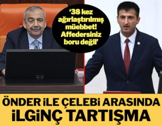 Sırrı Süreyya Önder ile AKP'li Mehmet Ali Çelebi arasında 'parmak sallama' kavgası