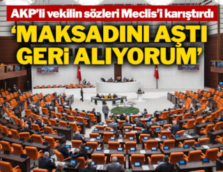 AKP'li vekilin sözleri Meclis'i karıştırdı: Maksadını aştı, geri alıyorum