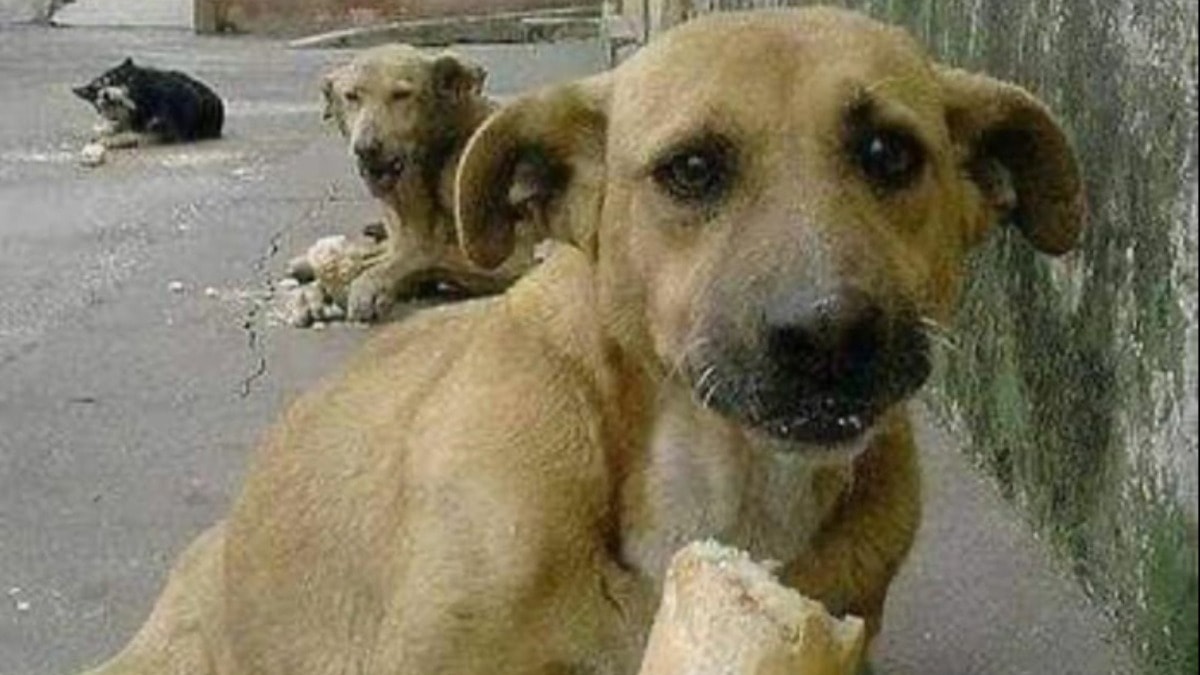 5 yıl önce 5 yıl sonra