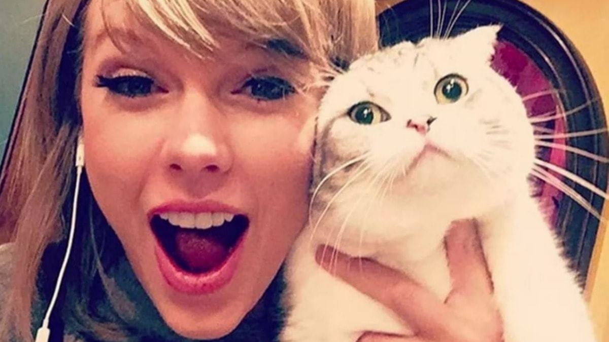 Pop yıldızı Taylor Swift’e kedi eleştirisi