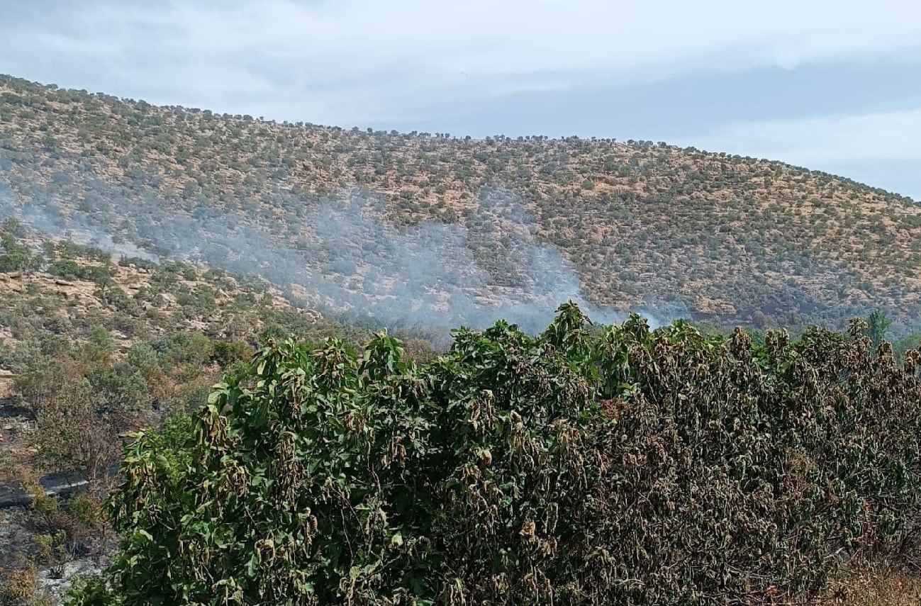 Bahçede başlayan yangın ormana sıçradı