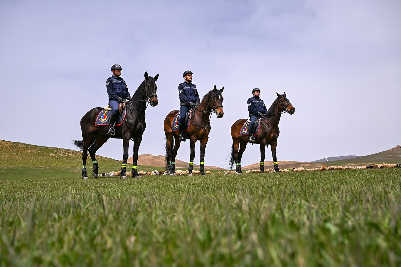 Atlı tim sınır hattında devriyede: 199 göçmen yakalandı
