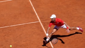 Novak Djokovic'ten ıslıklarla erken veda