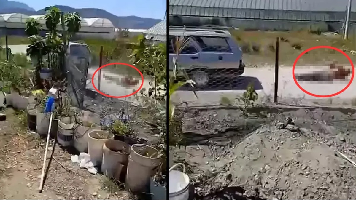 Komşusunu bağlayıp sürüklemişti: Tutuklandı