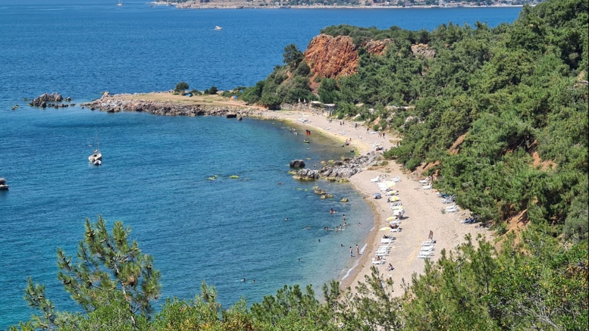 Adalar Belediye Başkanı’ndan Madam Martha Koyu ihalesine tepki