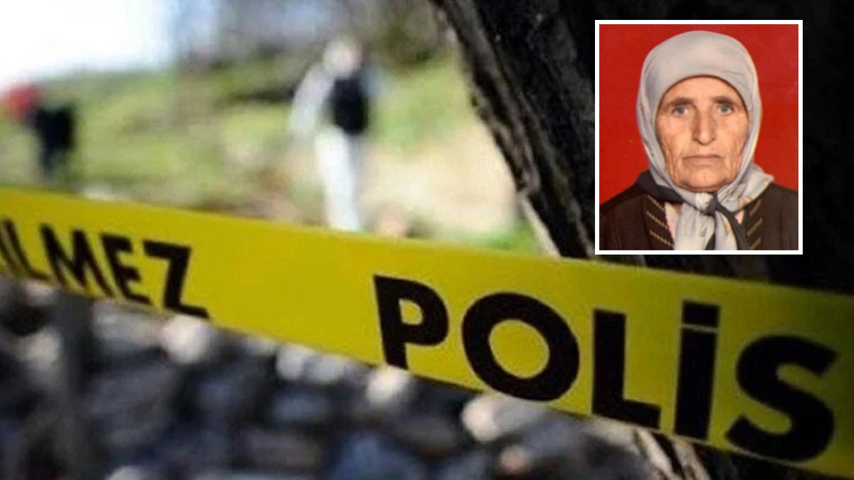 Sahipsiz köpeklerin saldırısına uğrayan kadın öldü