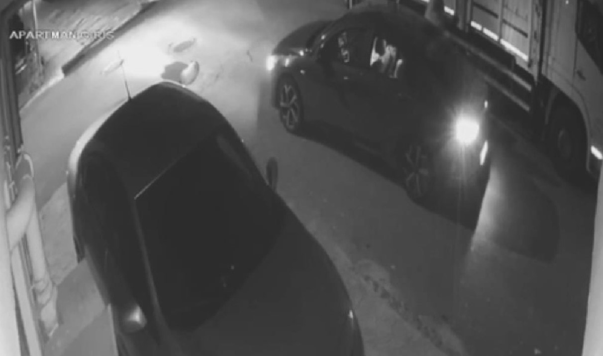 Uyuyan köpeği metrelerce sürükleyerek öldürdü