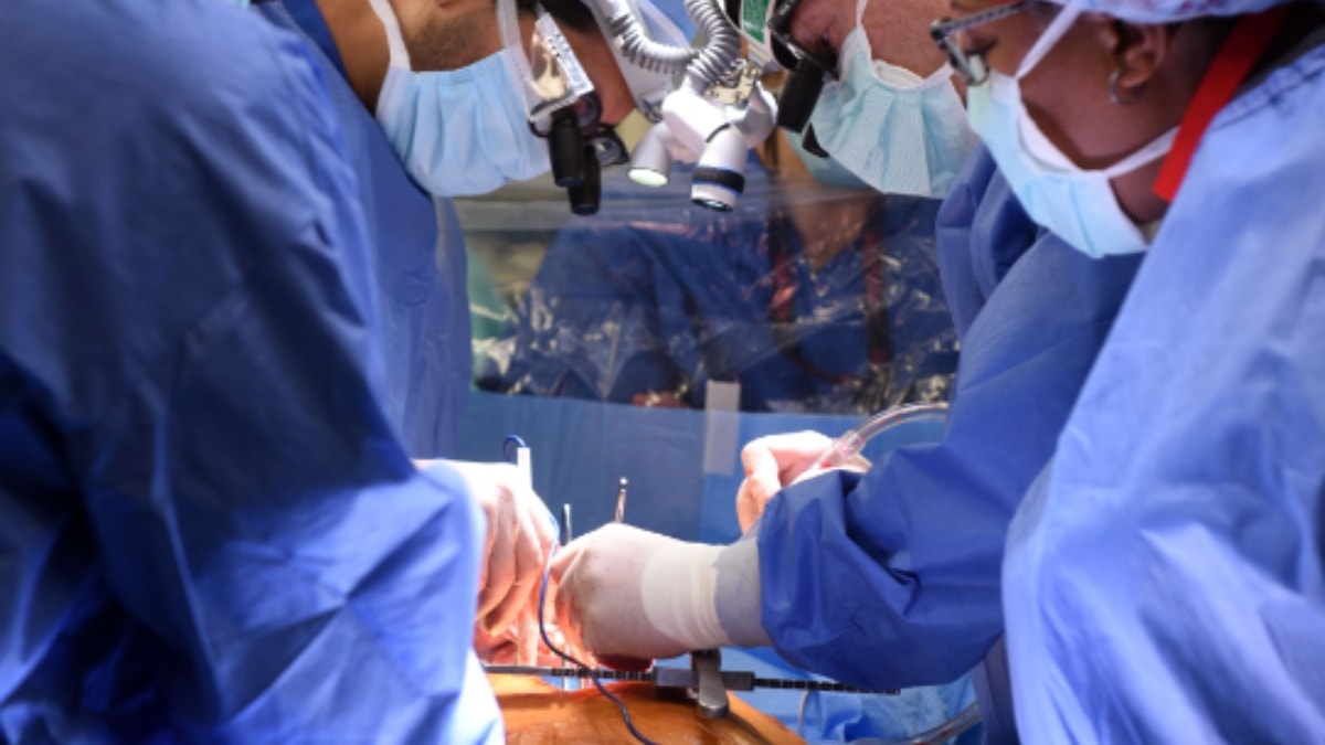 Araştırma: Organ nakli olanların kişiliği de değişiyor