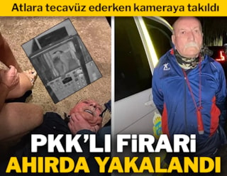 PKK firarisi, atlara tecavüz ederken yakalandı