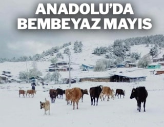 Anadolu'da mayıs ortasında kıştan kalma görüntüler