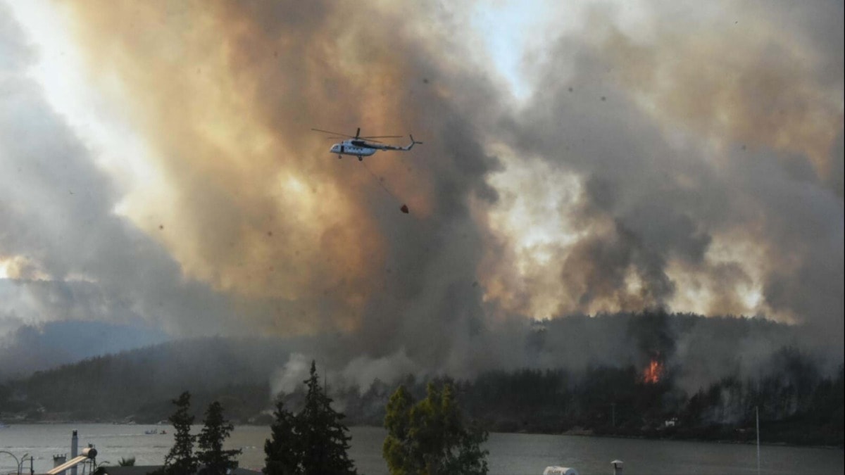 PKK'dan ormanı yak talimatı almıştı: Cezası belli oldu