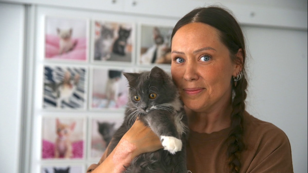 Türkiye'ye yerleşti, evini 'kedi evi'ne dönüştürdü