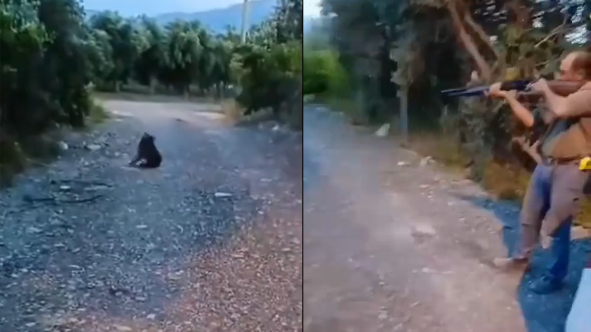 Köpeğe ateş açtı, inceleme başlatıldı