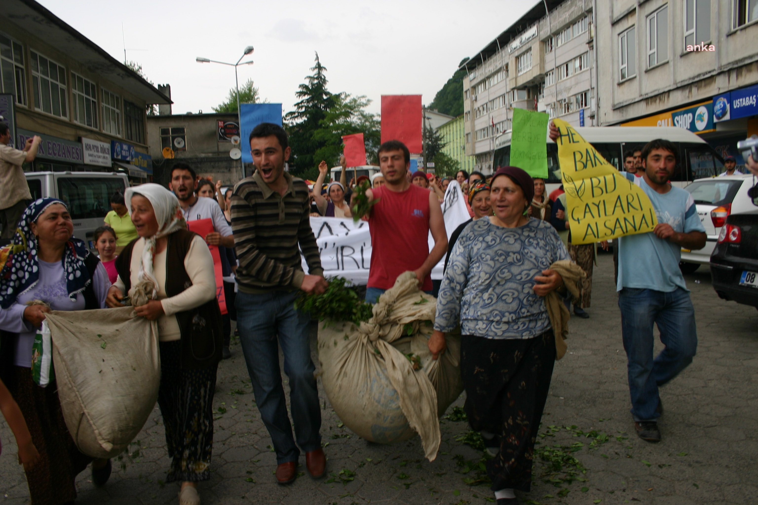 Yaş çay fiyatına tepkiler sürüyor: Ulusal Çay Konseyi'nden istifa ettiler