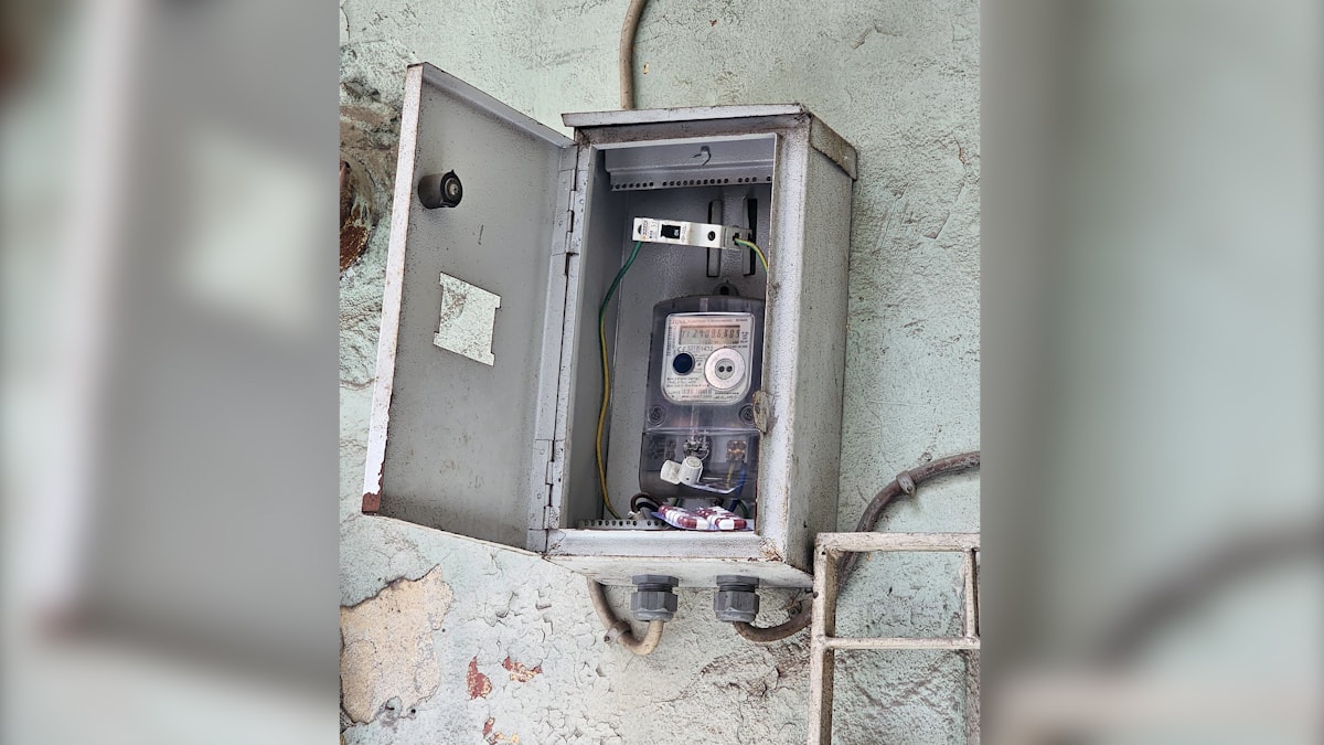 Elektrik panosundan çıkanlar görenleri hayrete düşürdü