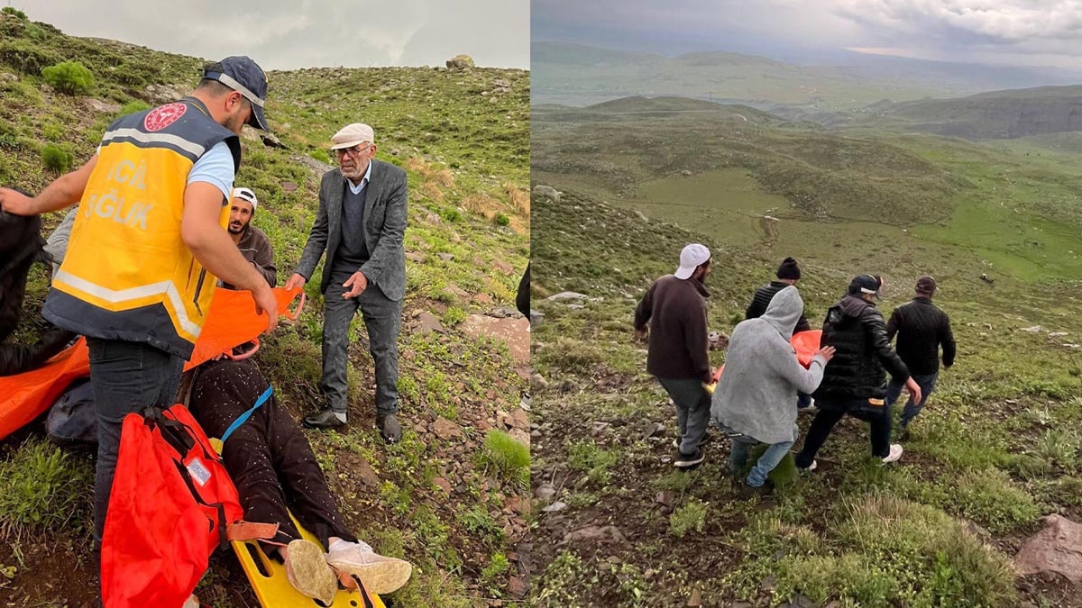 Mantar avcılığı kabusa döndü: 2 kişi sakatlandı