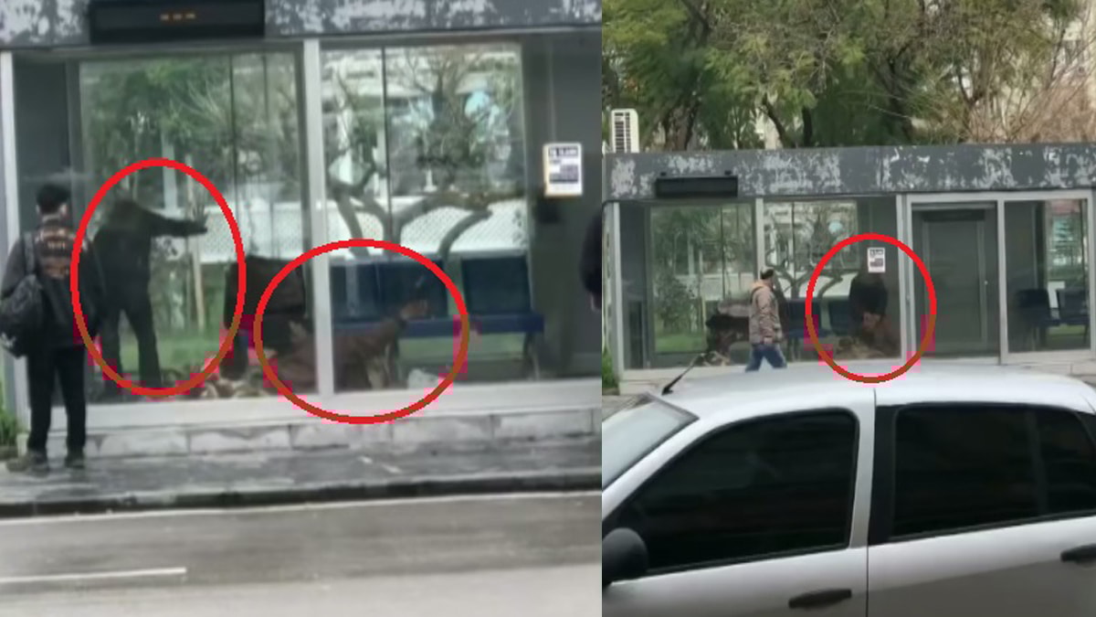 Durakta beraber kaldığı evsiz arkadaşını döverek öldürdü