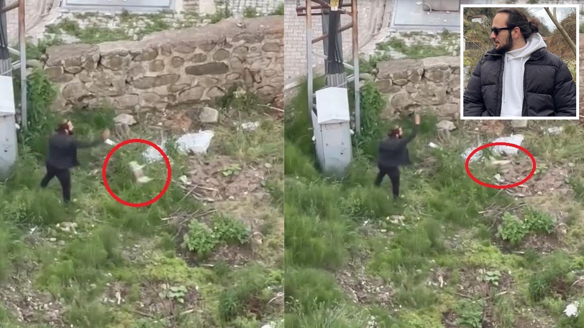 Kediyi tekmeledi, ezerek öldürdü! İfadesi 'pes' dedirtti