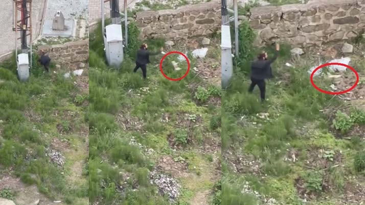 Trabzon'da vahşet: Kediyi tekmeledi, ezerek öldürdü