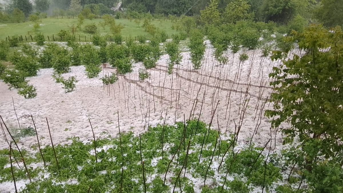 Ordu'da 5 dakika aralıksız fındık büyüklüğünde dolu yağdı