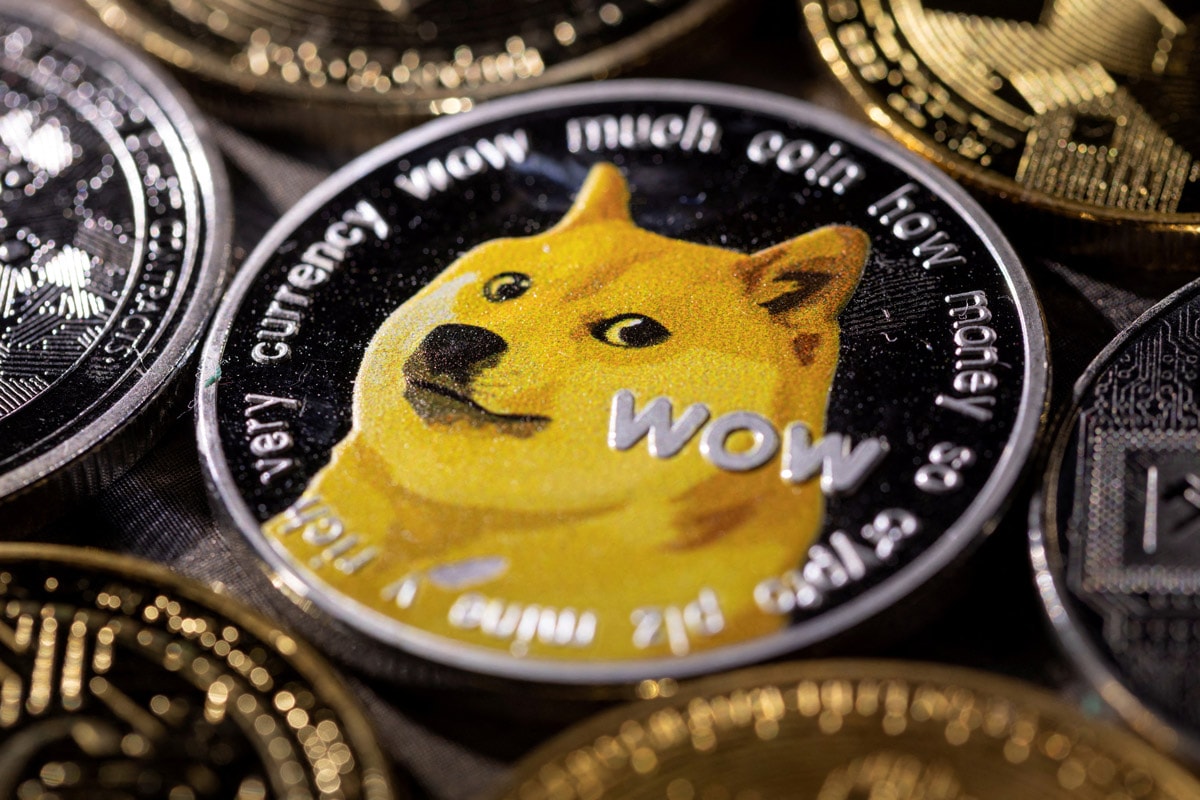 Dogecoin'in simgesi olan köpek Kabosu hayatını kaybetti