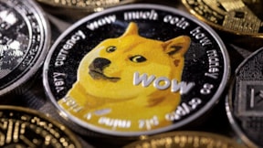 Elon Musk Doge'yi paylaştı: 10 dakikada roket gibi fırladı