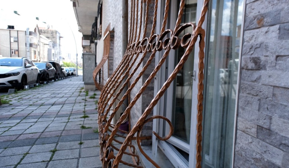 Evin penceresinden kediyi çaldılar