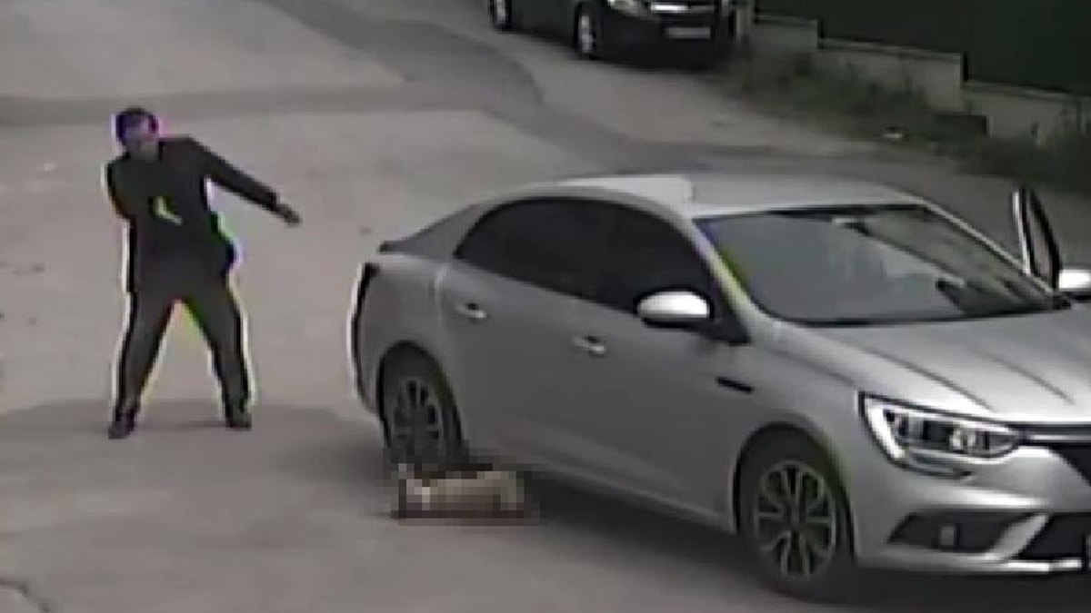 Vahşet: Yolda yatan köpeği ezdi, yoluna devam etti