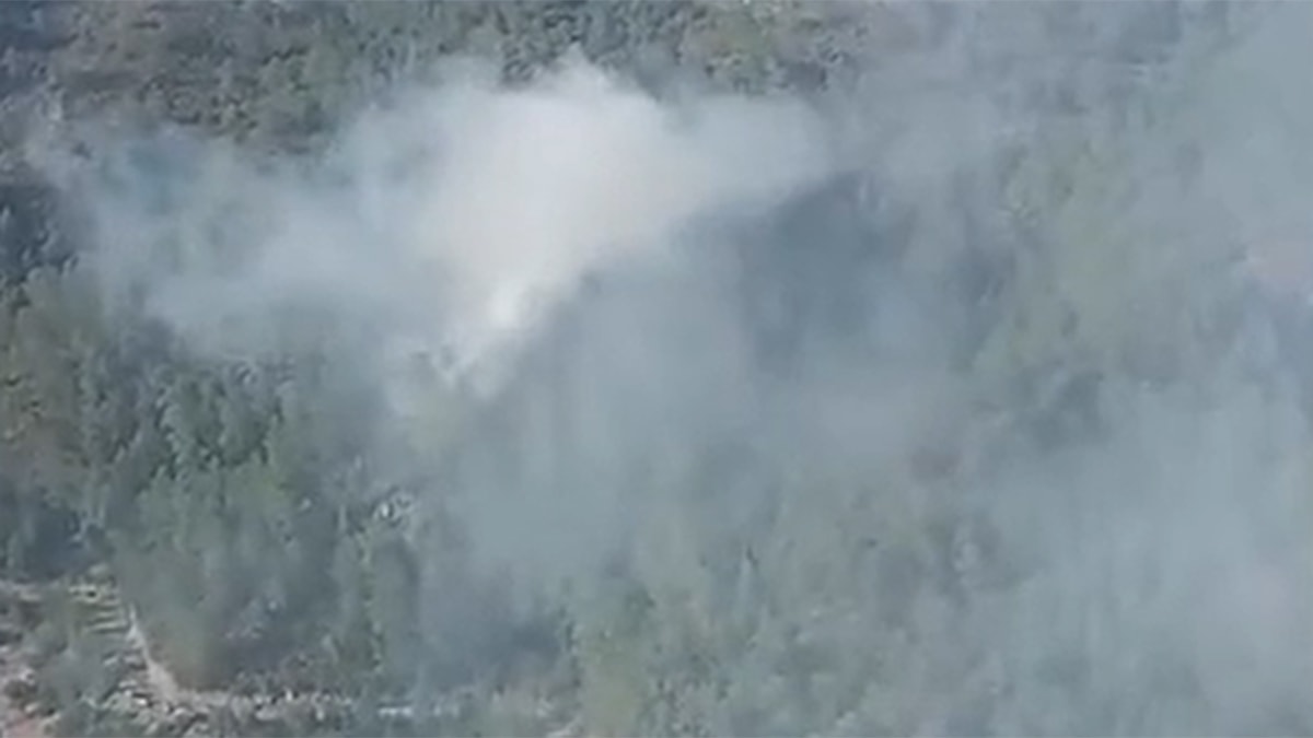 Muğla'da orman yangını