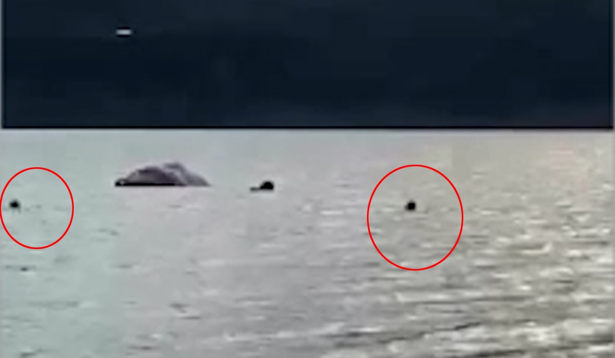 Göle düşen paraşütçüyü kurtarmak istemişti! Son görüntüleri ortaya çıktı...