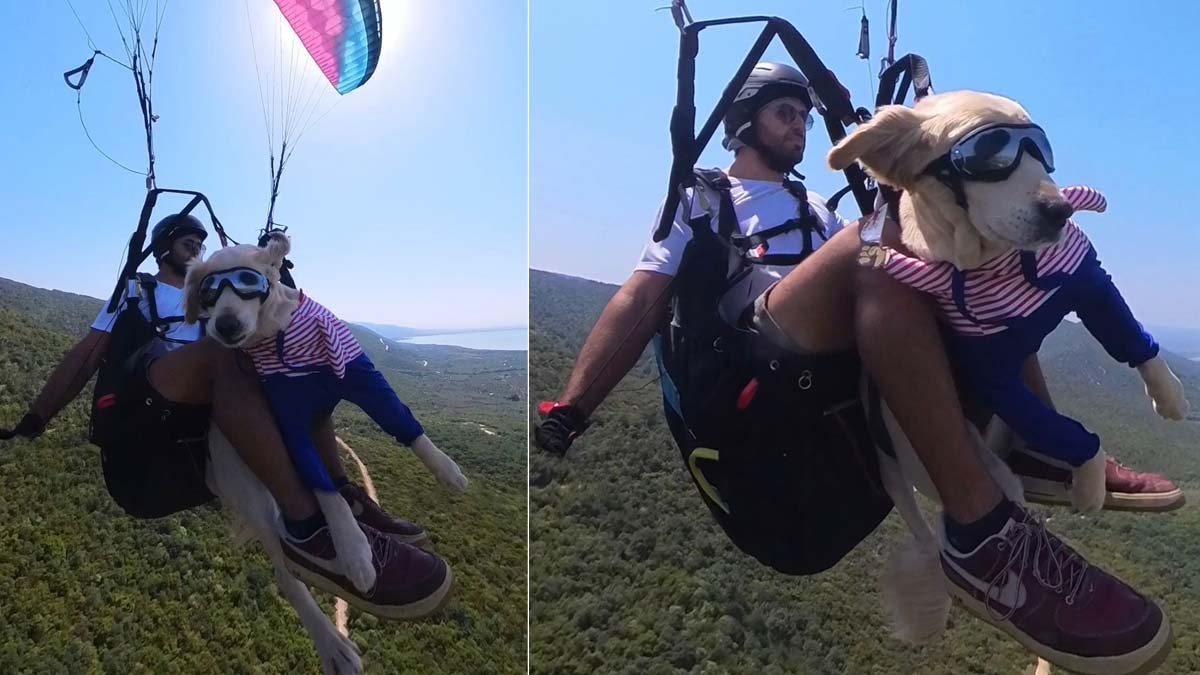 Dört yıldır sahiplendiği 'Badem' adlı köpeğiyle uçuyor