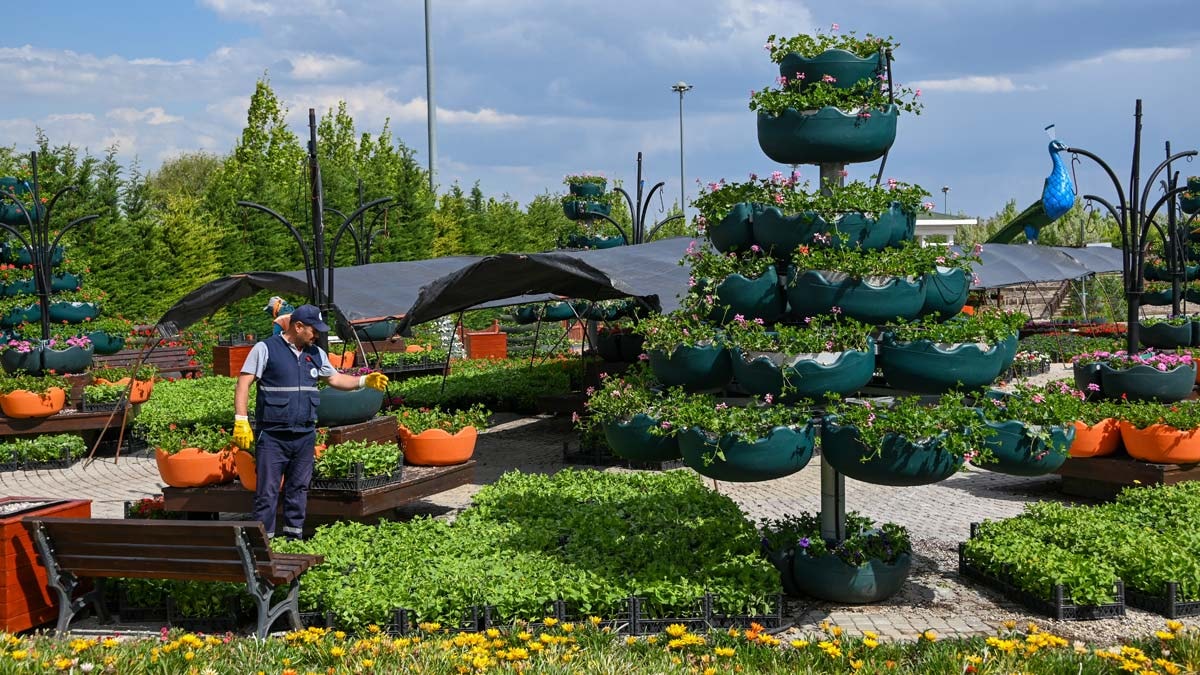 Renk cümbüşü: 395 bin çiçek bahçesi kapılarını ziyaretçilere açıyor