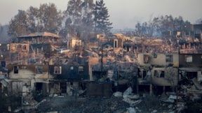 137 kişi ölmüştü... Orman yangını çıkarmakla suçlanan 2 kişiye gözaltı