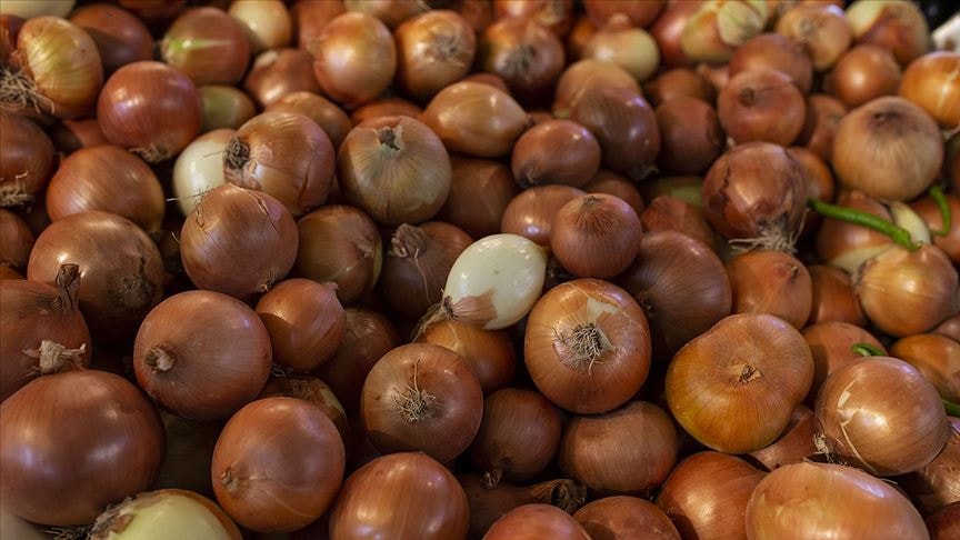 TZOB: Nisanda en çok kuru soğana zam geldi
