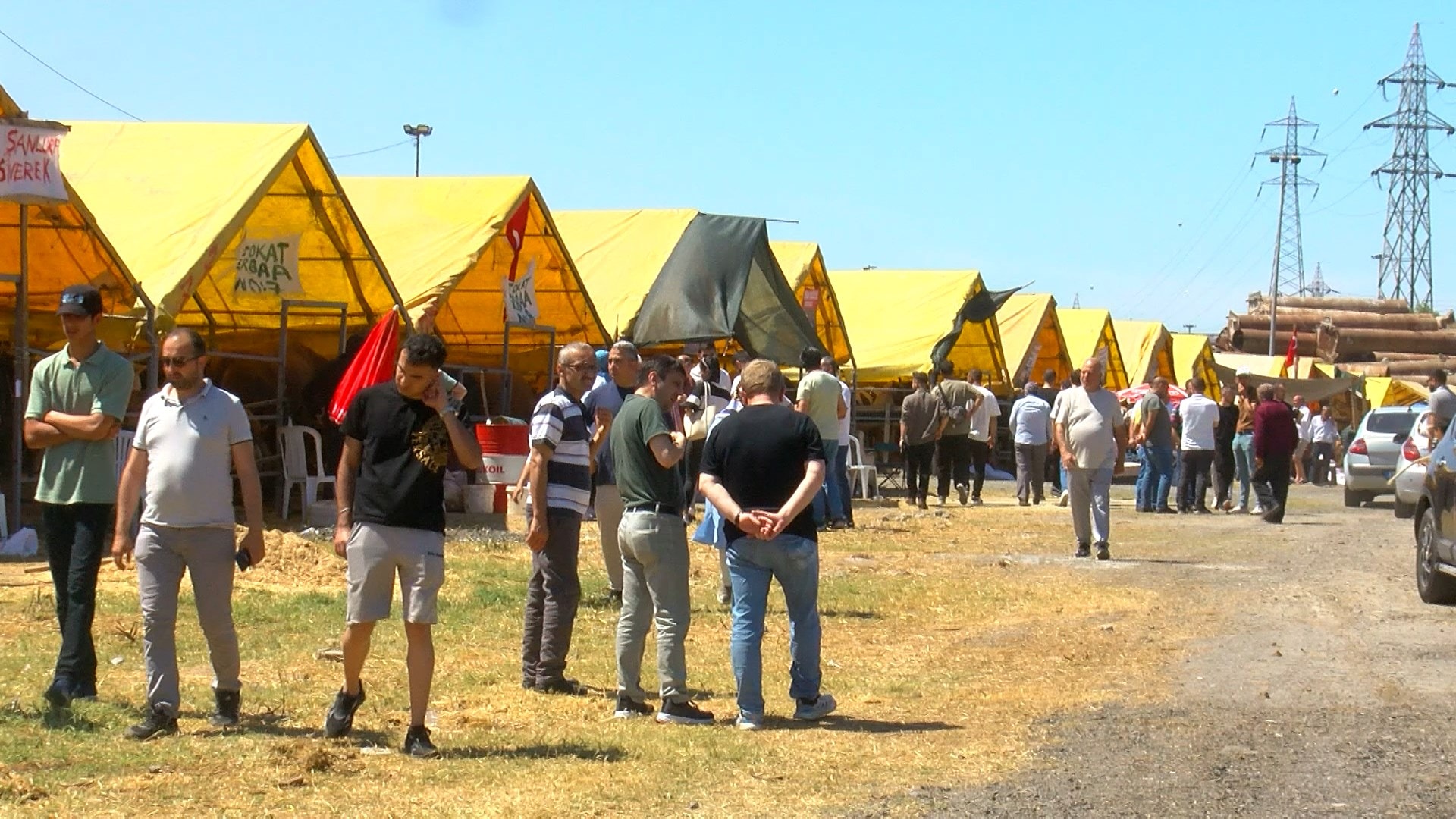 Kurban pazarında bakan çok, alan yok