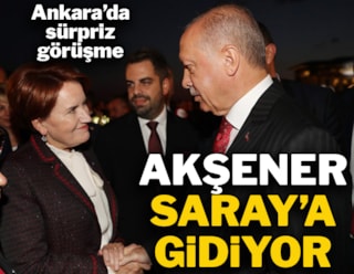 Akşener, Erdoğan'la Saray'da görüşecek