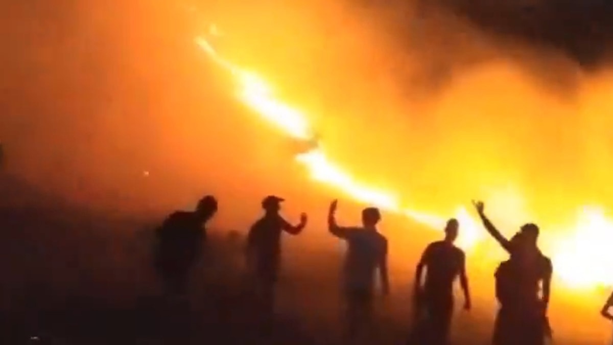 Mardin'de bir orman yangını daha