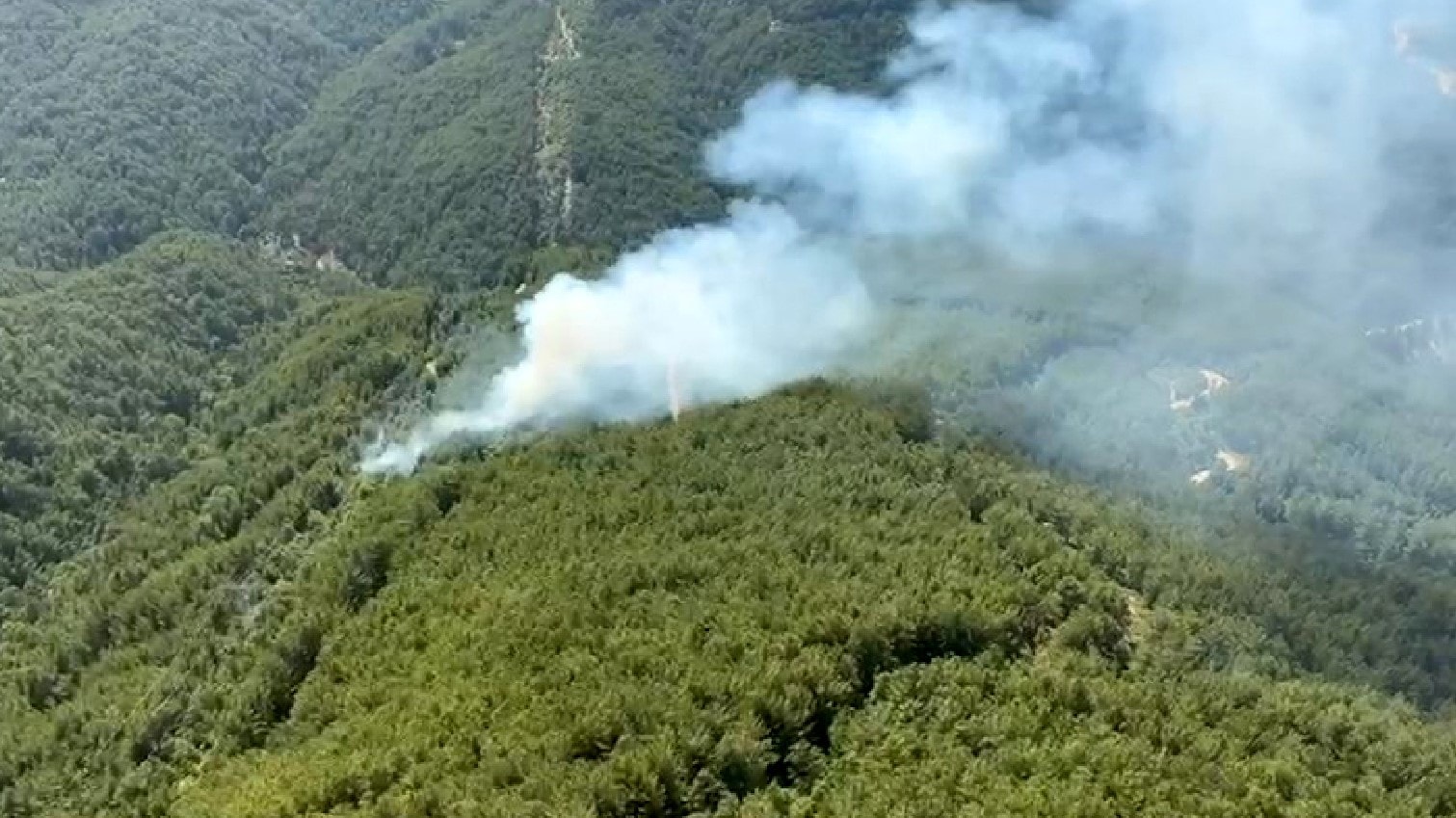 Antalya'da  peş peşe orman yangınları... Üç farklı noktada alevler yükseldi