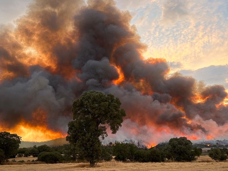 Uşak'taki orman yangını 40 saat sonra kontrol altında