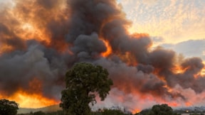 Uşak'taki orman yangını 40 saat sonra kontrol altında