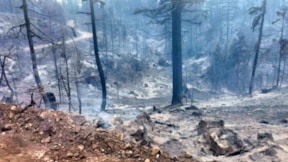 Karaman'da saatler süren orman yangını... Soğutma çalışması devam ediyor