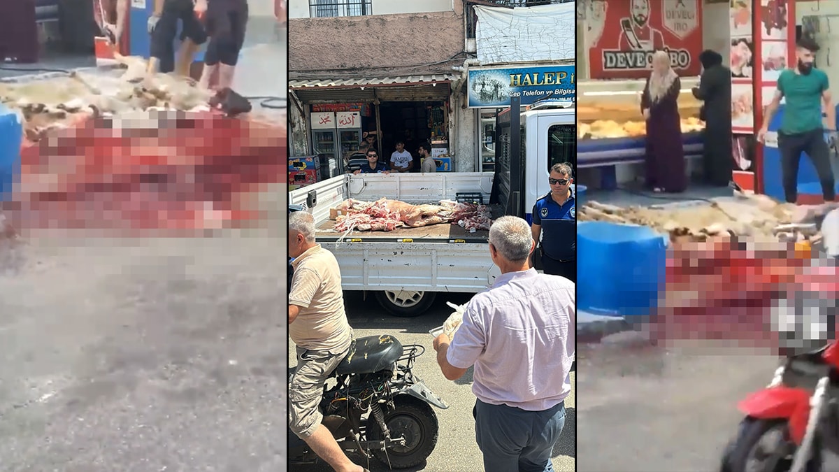 Kurban Bayramı öncesi sokak ortasında hayvan kesimi