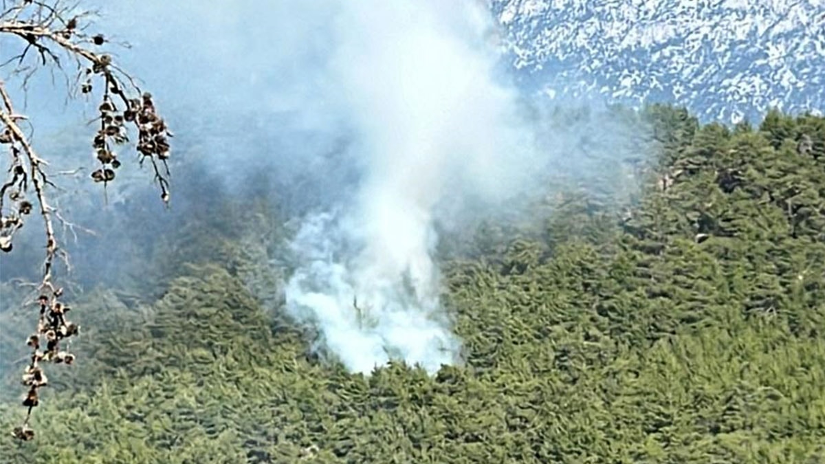 Antalya Manavgat'ta orman yangını